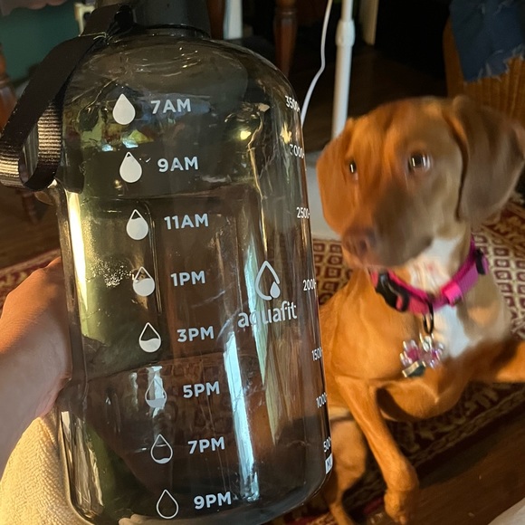 Dining | Giant Water Jug | Poshmark